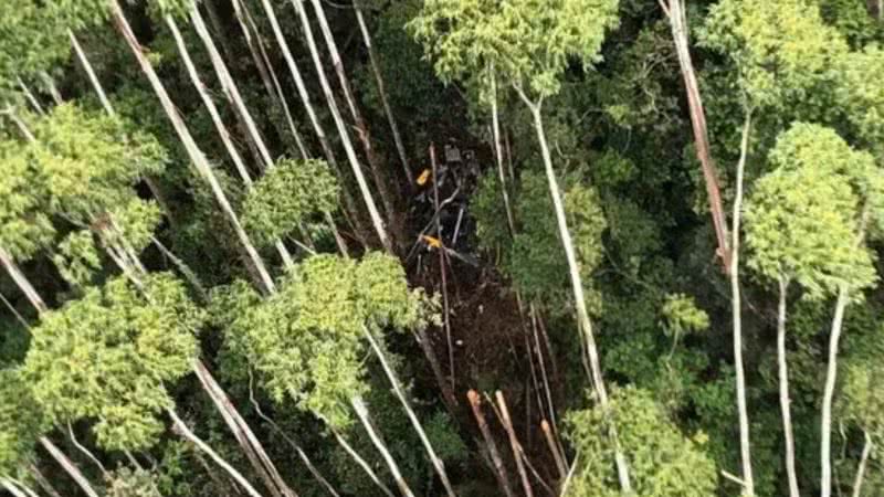 Descoberta dos destroços da aeronave - Divulgação/PMESP