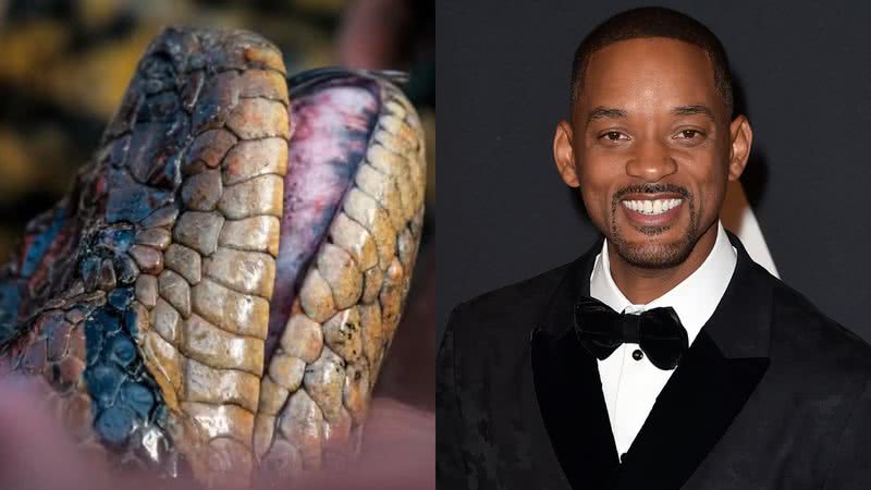 Anaconda-verde-do-norte (Eunectes akayima), nova espécie de cobra identificada, e o ator Will Smith - Divulgação/Bryan Fry / Getty Images