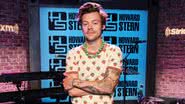 Harry Styles, cantor, compositor e ator britânico - Getty Images