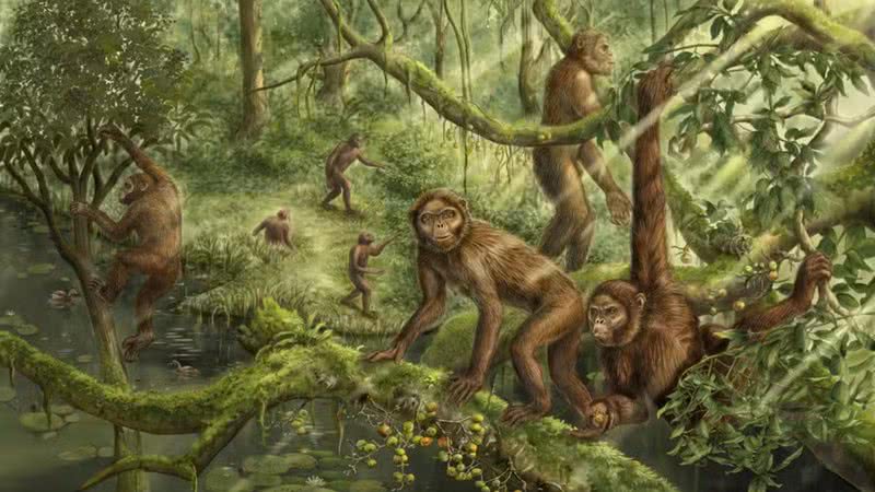 Ilustração representando comportamento locomotor e ambiente do Lufengpithecus - Divulgação/Instituto de Paleontologia e Paleoantropologia de Vertebrados da Academia Chinesa de Ciências/Xijun Ni