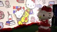 Registro da exposição que celebra os 50 anos da Hello Kitty - Vitor Lima