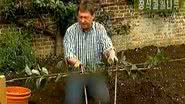 Alan Titchmarsh e seu jeans censurado - Reprodução/Vídeo/The Guardian