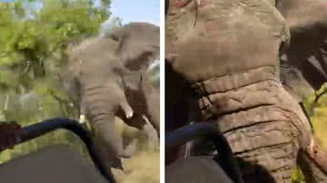 Elefante atacou turistas em safari - Divulgação/vídeo/redes sociais