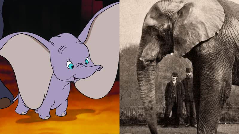 O elefante Dumbo (à esqu.) e Jumbo (à dir.) - Divulgação/Disney e Domínio Público via Wikimedia Commons