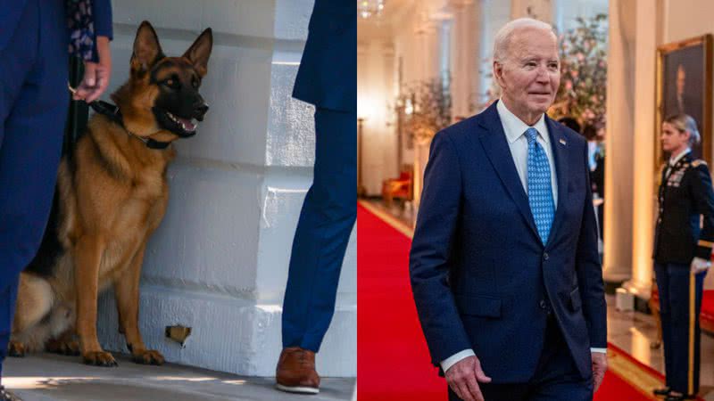 O cachorro do presidente, Commander, e o próprio Joe Biden - Getty Imagens