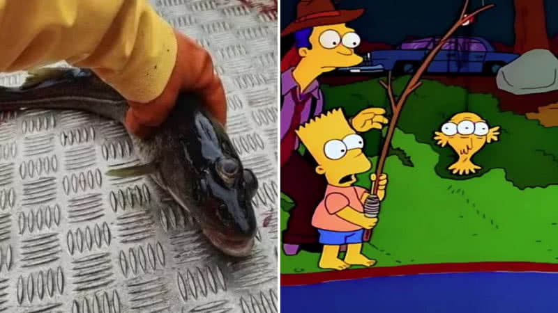 Peixe encontrado na Groenlândia e cena de Os Simpsons - Reprodução e Divulgação/FOX