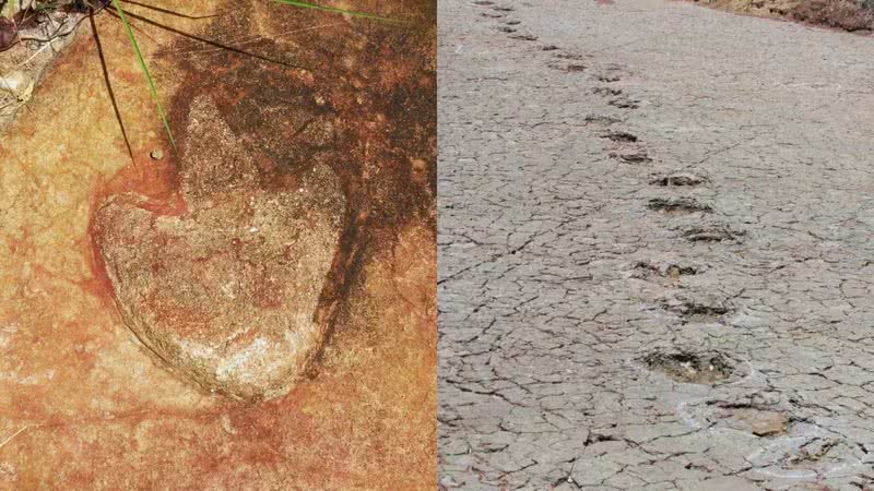 Pegadas de dinossauros descobertas no nordeste brasileiro - Divulgação/Ismar de Souza Carvalho