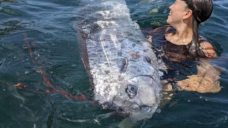 Imagem do "Peixe do juízo final" encontrado em praia da Califórnia - Reprodução