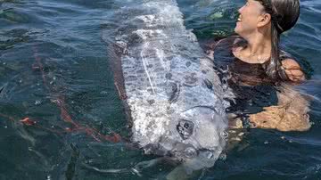 Imagem do "Peixe do juízo final" encontrado em praia da Califórnia - Reprodução