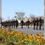 Desfile cívico-militar de 7 de setembro em Brasília