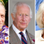 Simon Charles Dorante-Day, rei Charles III e a rainha consorte Camilla