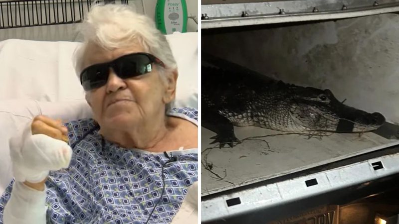 Del Boppel, de 84 anos, foi atacada por jacaré; animal foi capturado - Reprodução/Youtube (@NBC2swfl); Divulgação/Gabinete do Xerife do Condado de Lee/Peixes e Vida Selvagem da Flórida