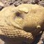 Escultura de cabeça romana descoberta em Carlisle, Inglaterra