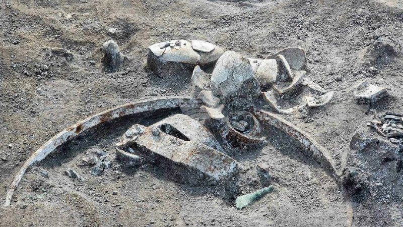 Destroços de carruagem romana encontrados na Bulgária - Divulgação/Agência Búlgara de Notícias