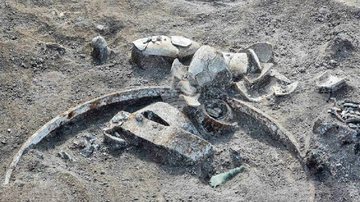 Destroços de carruagem romana encontrados na Bulgária - Divulgação/Agência Búlgara de Notícias