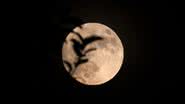 Imagem ilustrativa da Lua - Getty Images