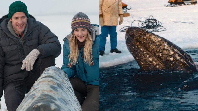 Cena de 'O Grande Milagre' (2012) e uma das baleias que ficou presa no Alasca - Reprodução/Universal Pictures / Divulgação/NOAA