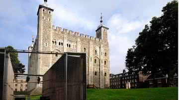 Corvos em gaiola na Torre de Londres - Getty Images