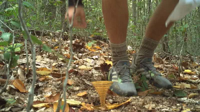 Homem encontrou objeto em floresta - Divulgação/Project Skydrop