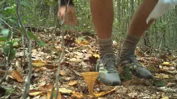 Homem encontrou objeto em floresta - Divulgação/Project Skydrop