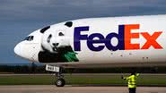 Ursos panda Bao Li e Qing Bao chegam ao aeroporto de Washington - Getty Images