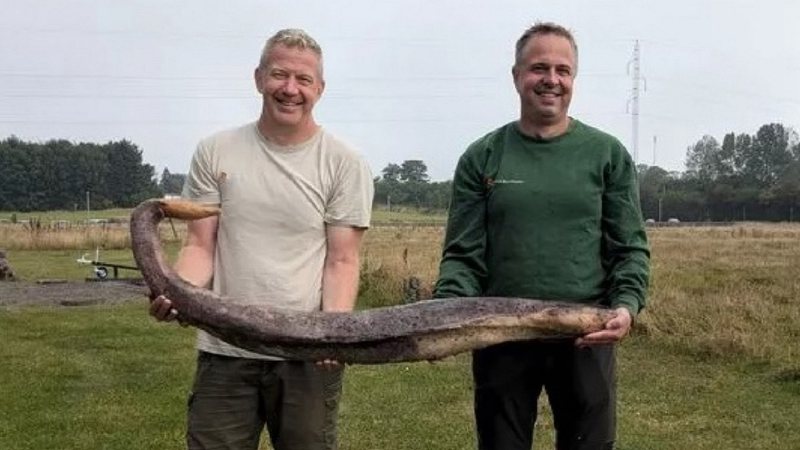 Amigos postaram foto segurando o pênis de uma baleia pensando que fosse o fóssil de uma cobra - Reprodução