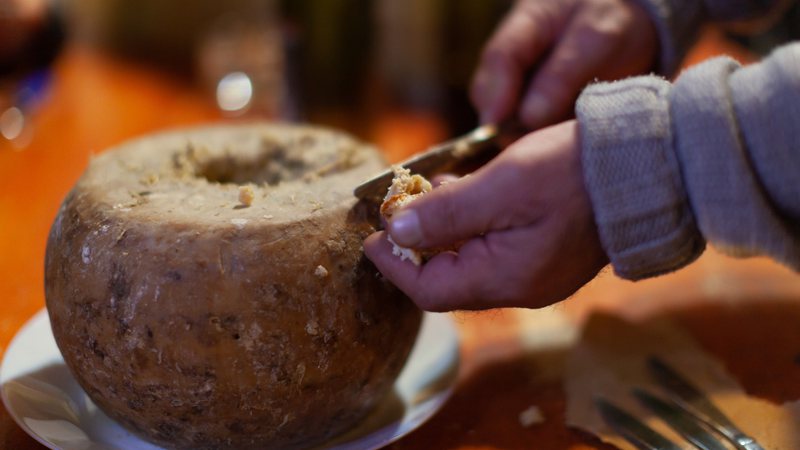 Fotografia de um queijo casu marzu - Getty Images