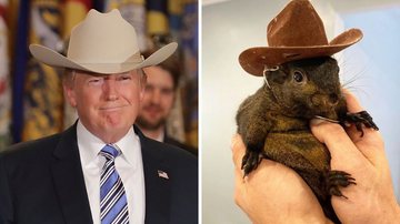 Donald Trump e o esquilo Peanut - Getty Images; Reprodução/Instagram (@peanut_the_squirrel12)