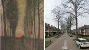 "Lane of Poplars at Sunset", de Van Gogh, e Weverstraat - Wikimedia Commons via Domínio Público; Google Maps