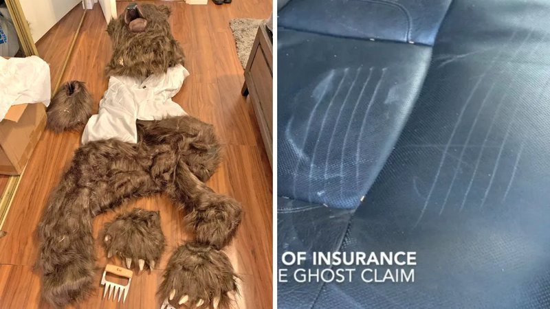 Fantasia de urso usada para aplicar golpes - Divulgação/California Department of Insurance