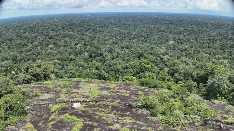 Vista aérea da floresta amazônica - Divulgação/Morgan Schmidt