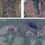 Imagens do Google Earth foram fundamentais para a pesquisa