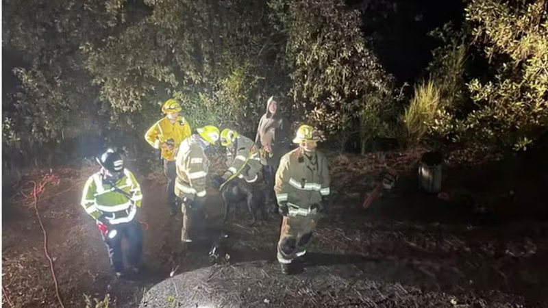 Cão foi salvo por bombeiros - Divulgação/Distrito de Proteção contra Incêndio de Garden Valley