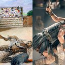 Ilustração de antigos gladiadores (à esqu.) e cena do filme Gladiador 2 (à dir.) - Getty Images e Divulgação