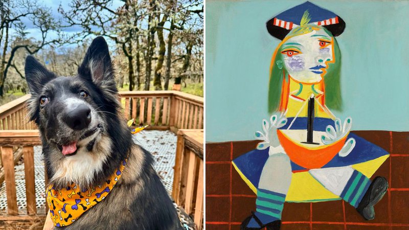 O cão Brodie e uma obra de Picasso - Divulgação