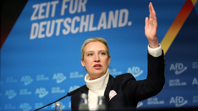 Alice Weidel - Getty Images