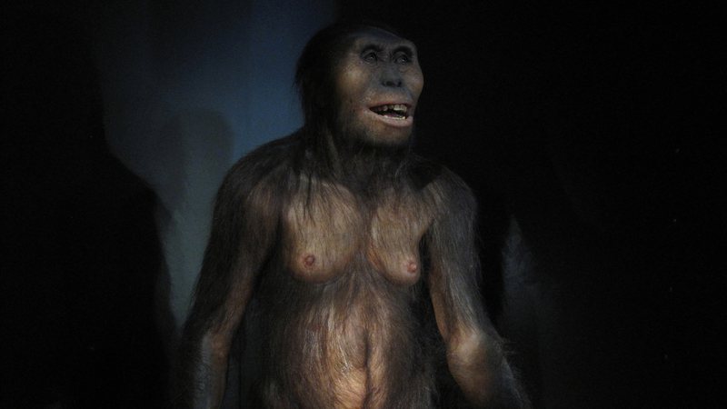 Reprodução ilustrativa da Australopithecus afarensis Lucy - Getty Images