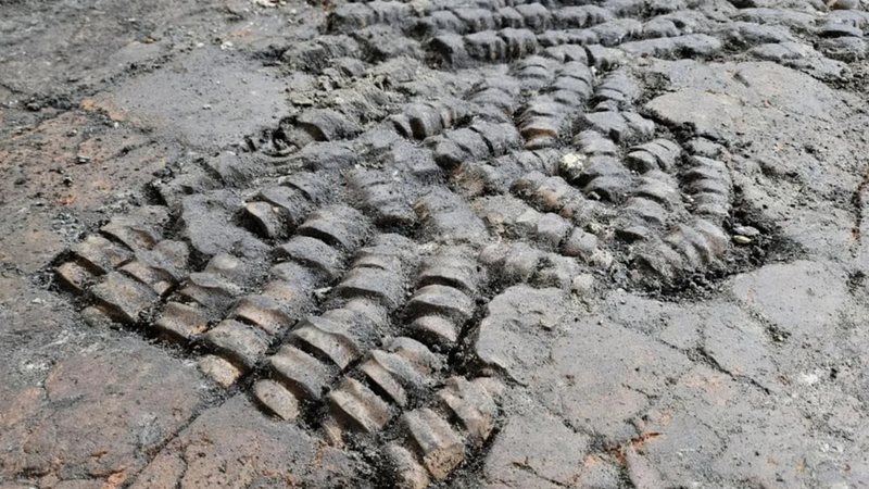 O piso de ossos descoberto na Holanda - Dovulgação/Equipe de arqueologia do Município de Alkmaar