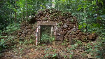 Registro da descoberta - ASQFORT/Amazônia Revelada