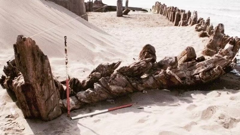 Cargueiro soterrado pela areia da praia na costa do Irã - Reprodução/Costantini et al