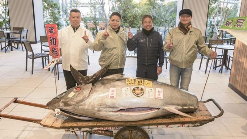 Peixe arrematado em leilão - Divulgação/Grupo Onodera