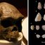 Crânio de Homo erectus e ferramentas analisadas pela equipe