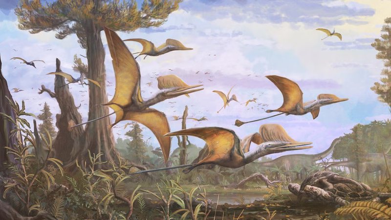 Ilustração representando pterossauros - Divulgação/Natural History Museum