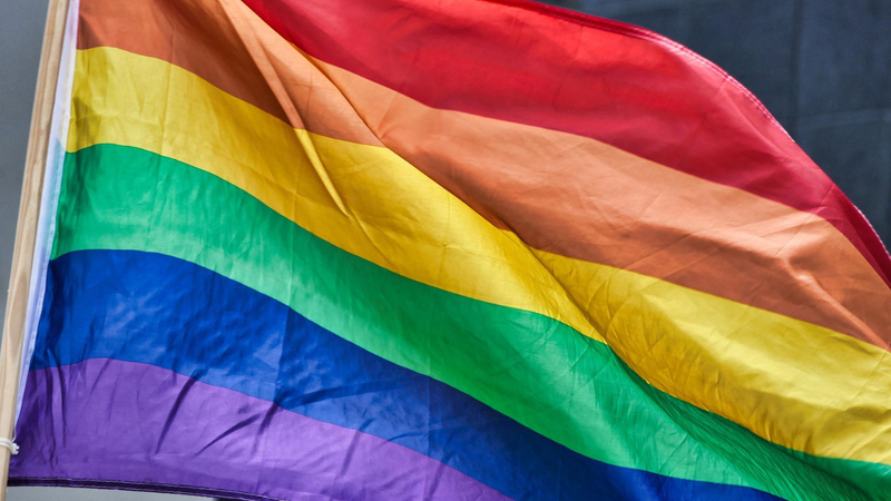 Imagem da bandeira do Orgulho LGBTQIA+ - Foto por SatyaPrem no Pixabay