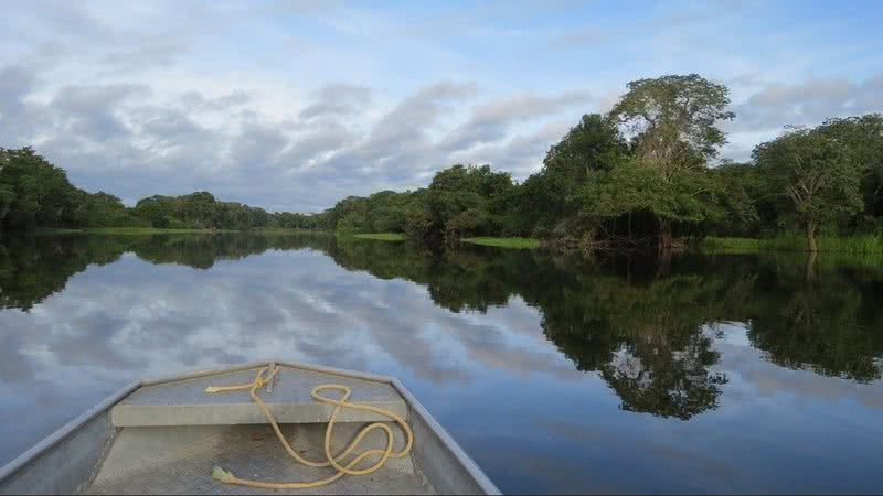 Floresta amazônica sofre aumento no desmatamento desde 2019 - Créditos: Reprodução / Pixabay