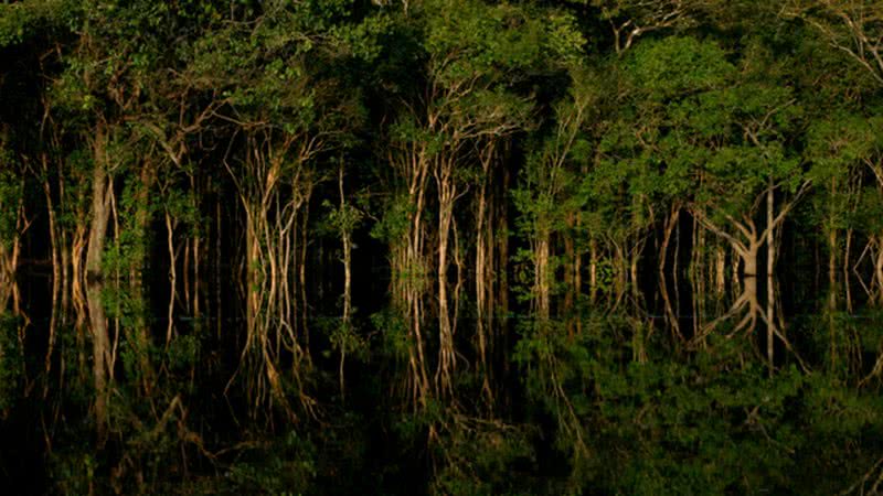 Peça da cultura Marajoara - Reprodução