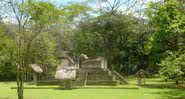 Ceibal - Instituto de Pesquisa Tropical do Museu Smithsonian