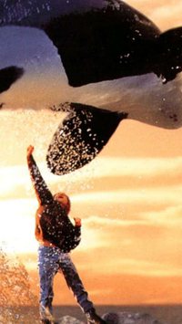 Free Willy: O que aconteceu com a orca?