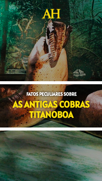 Fatos peculiares sobre as antigas cobras Titanoboa