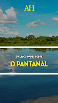 5 curiosidades sobre o Pantanal